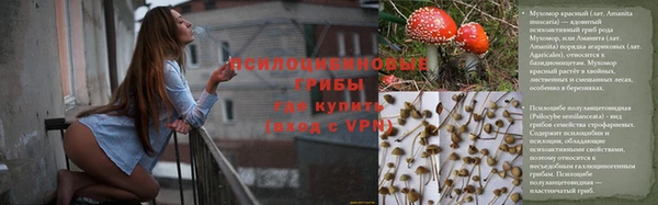 MDMA Заводоуковск