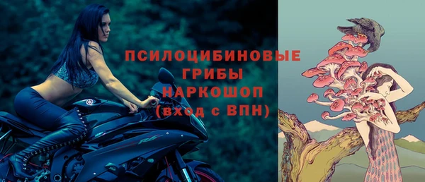 амф Заволжск