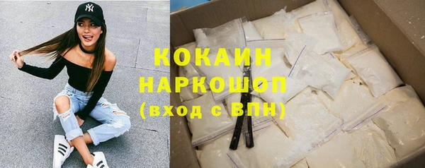 кокс Елизово